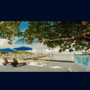 Meet your Posher, Bradley